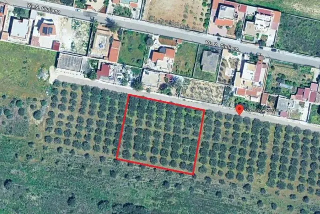insertion image