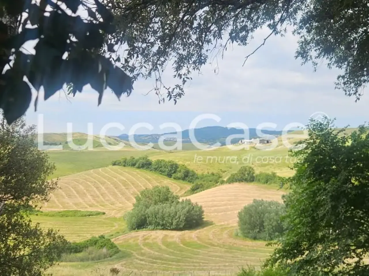 Azienda agricola in 56030 Terricciola Pi 56030, Terricciola, {3} - Foto 2
