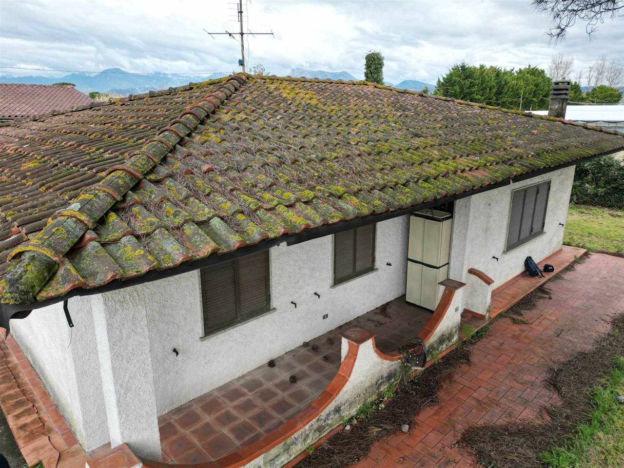 immagine annuncio 5 di 12