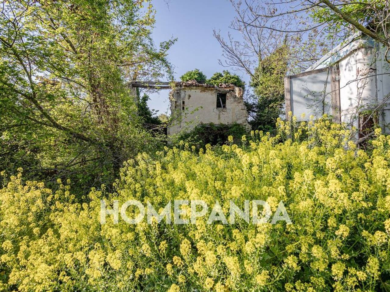 immagine annuncio 11 di 13