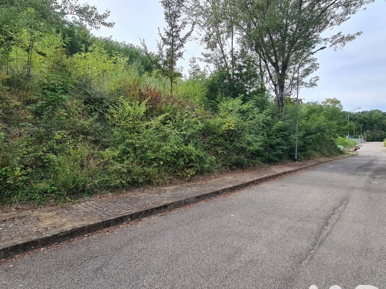 immagine annuncio 4 di 12