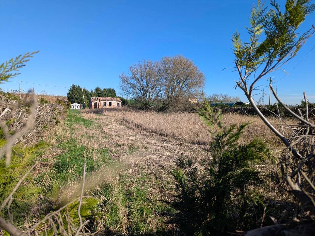 immagine annuncio 2 di 11