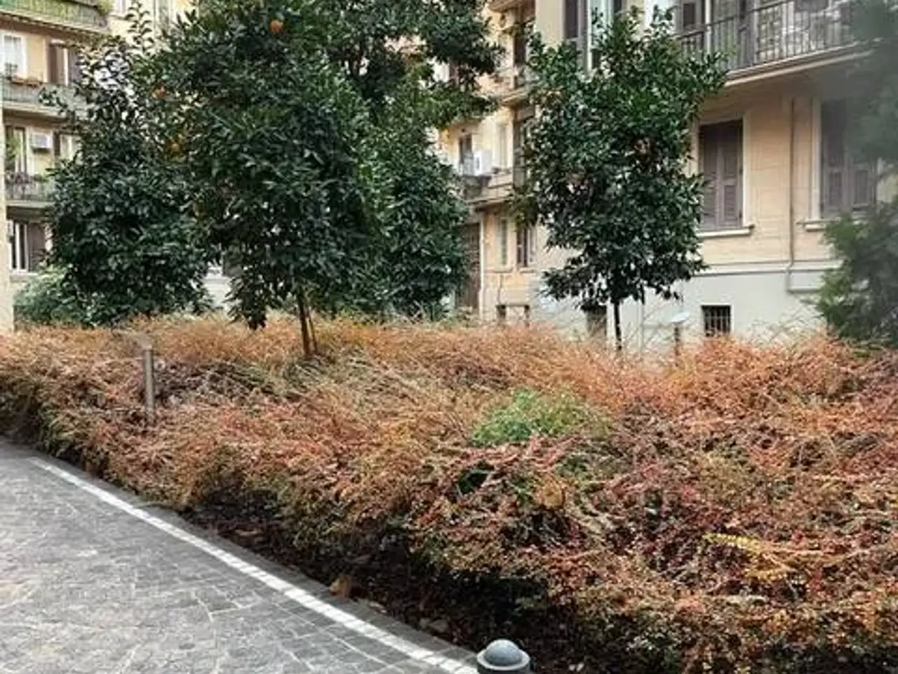 Magazzino in Via Nemorense 18 Roma, Roma, {3} - Foto 2