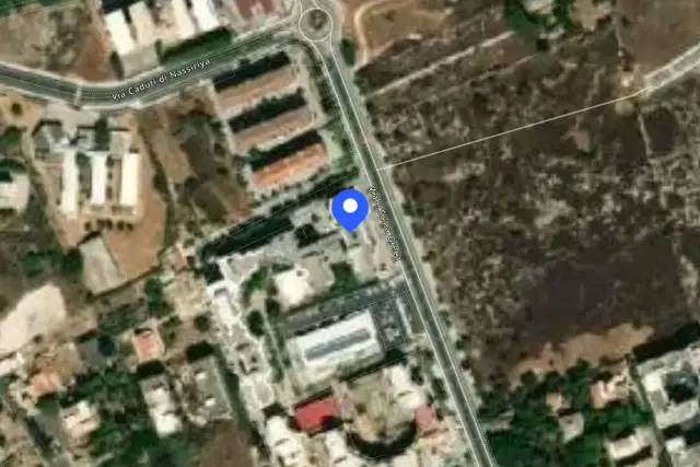 insertion image