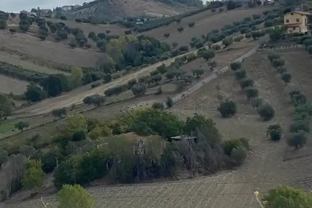 insertion image