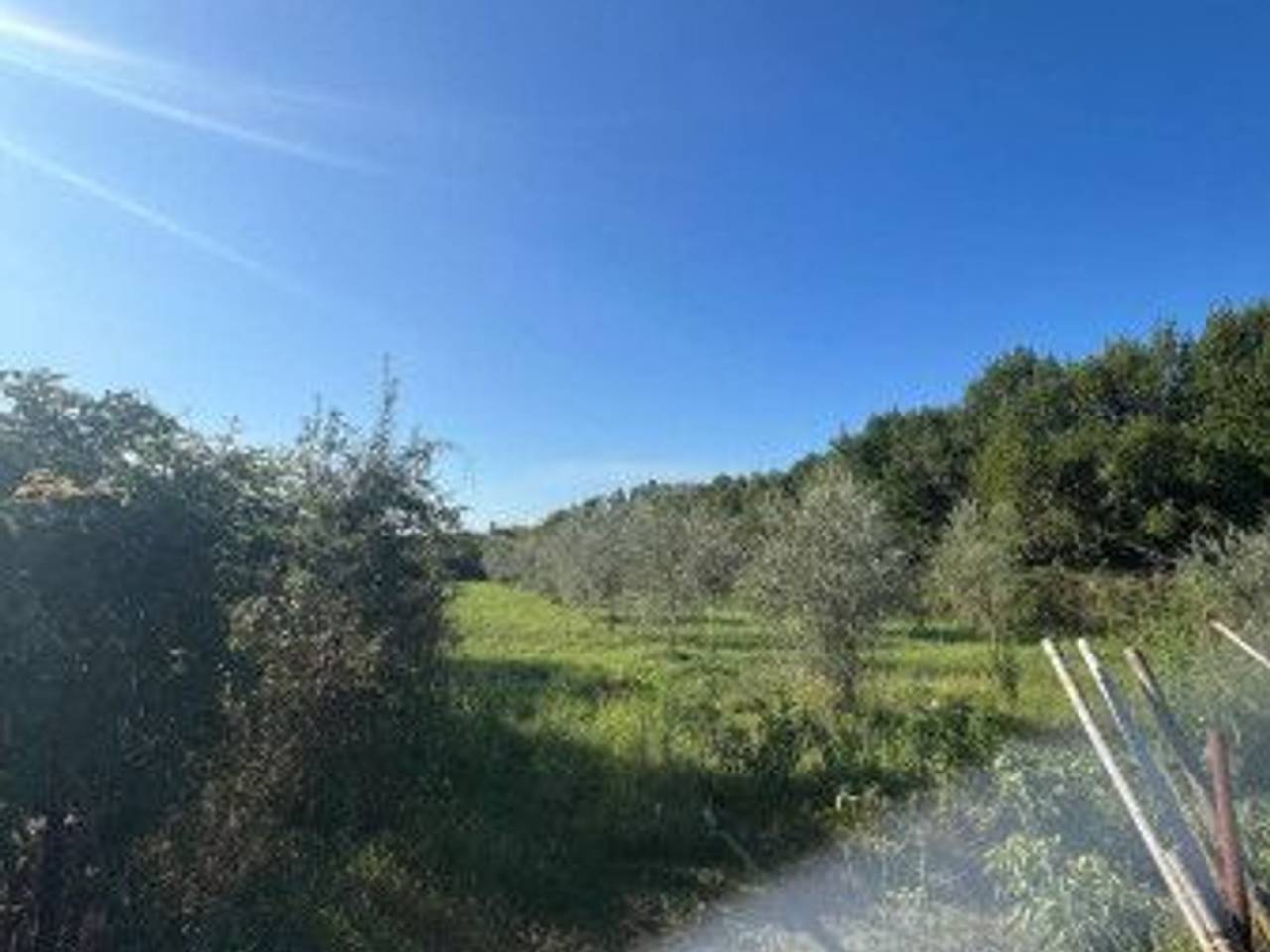 immagine annuncio 4 di 6