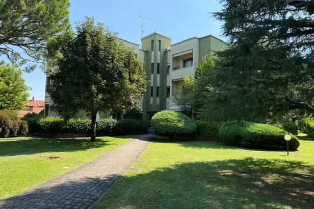 insertion image