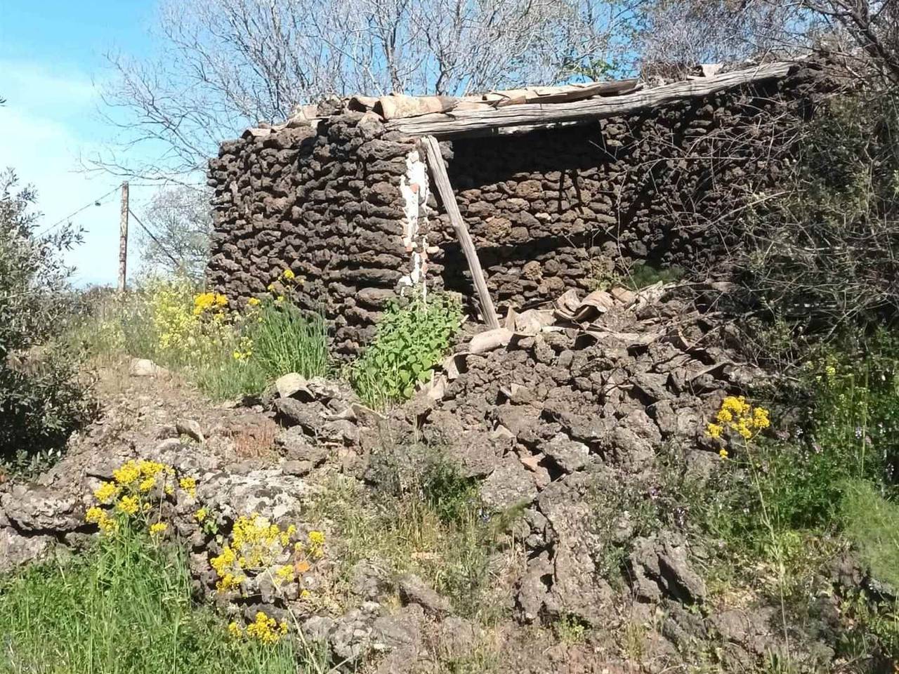 immagine annuncio 12 di 13