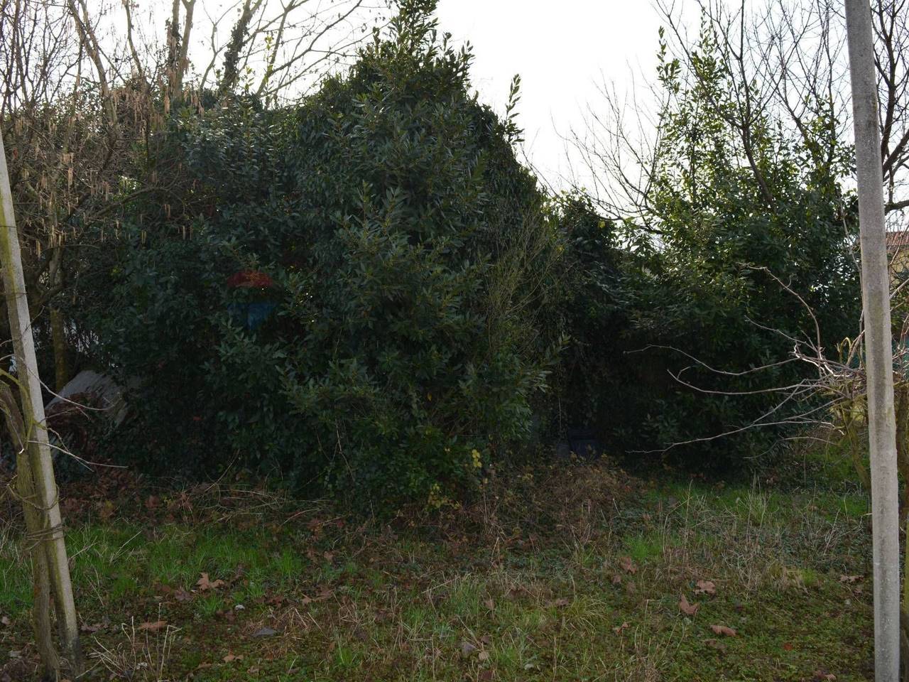 immagine annuncio 9 di 14