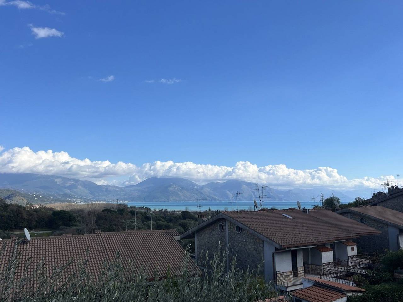 immagine annuncio 9 di 14