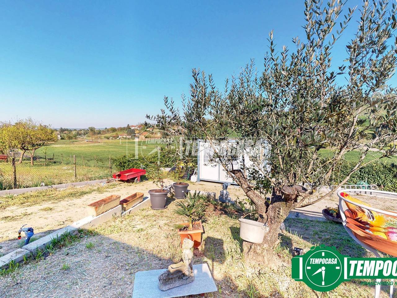 immagine annuncio 3 di 13