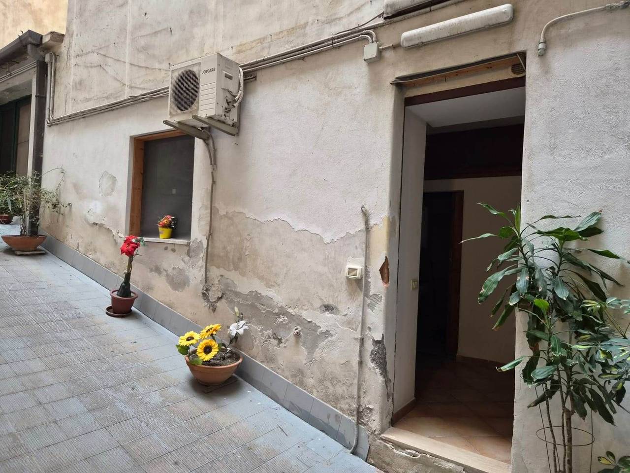 immagine annuncio 7 di 8