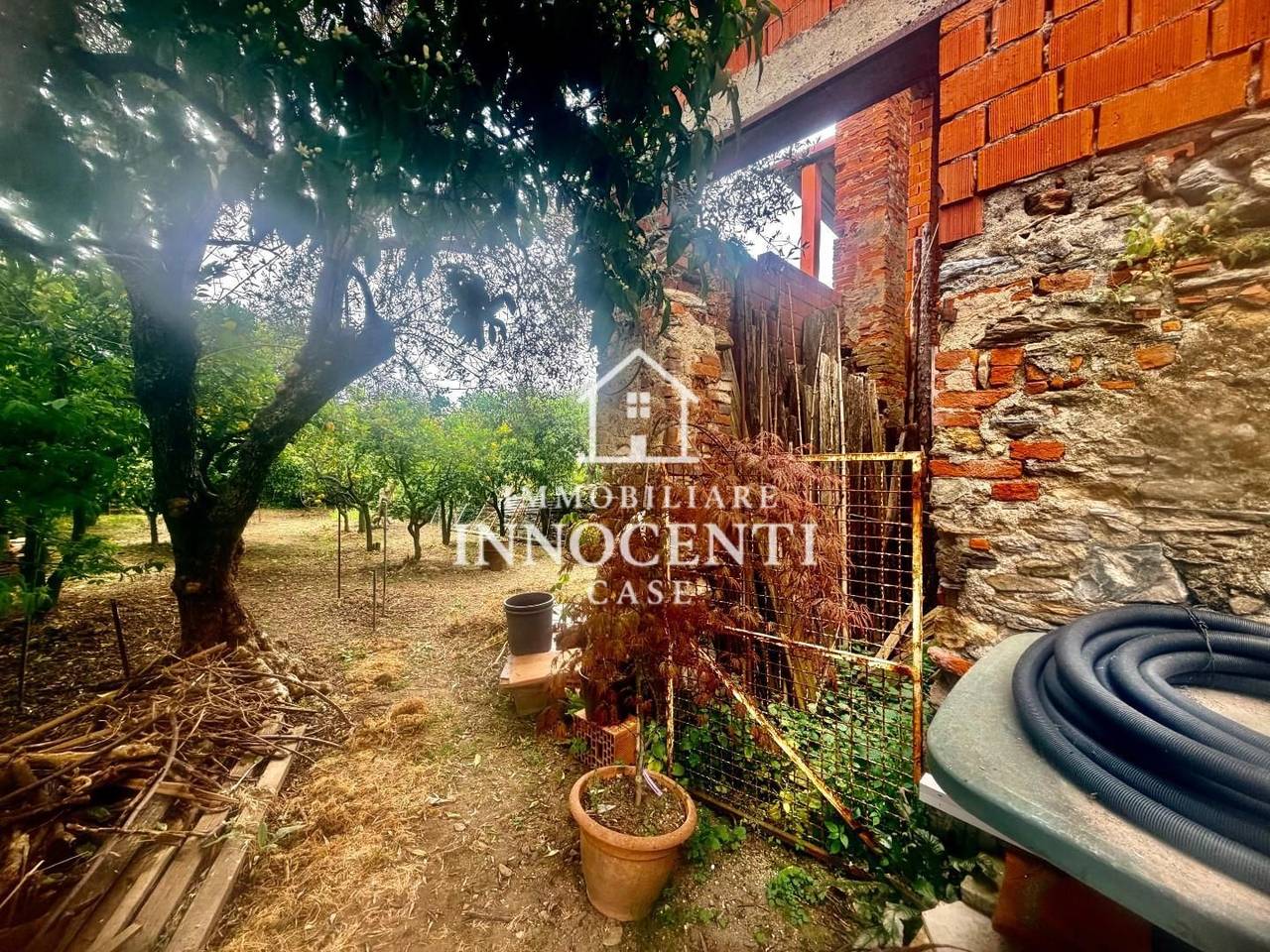 immagine annuncio 3 di 11