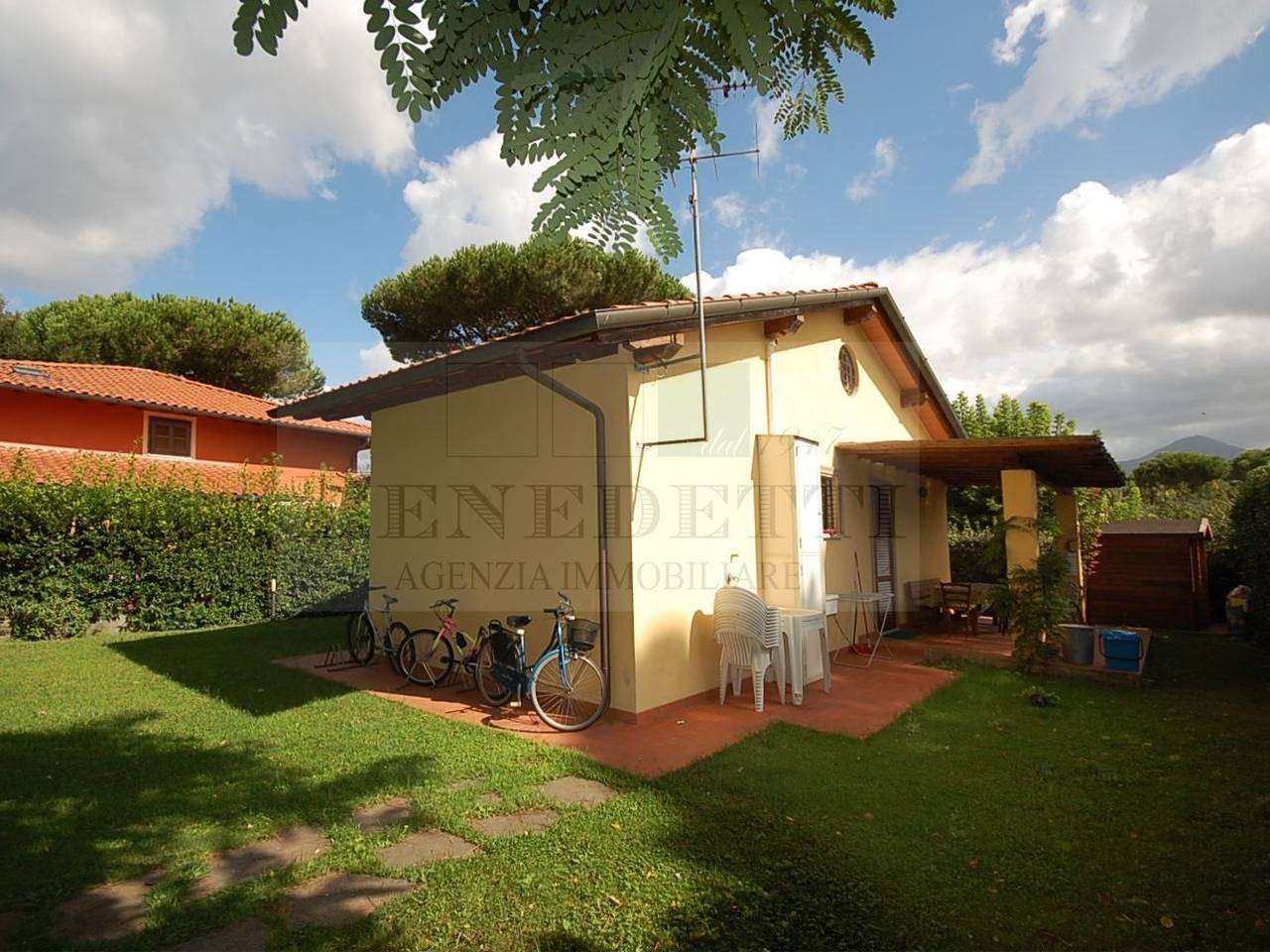 immagine annuncio 10 di 15