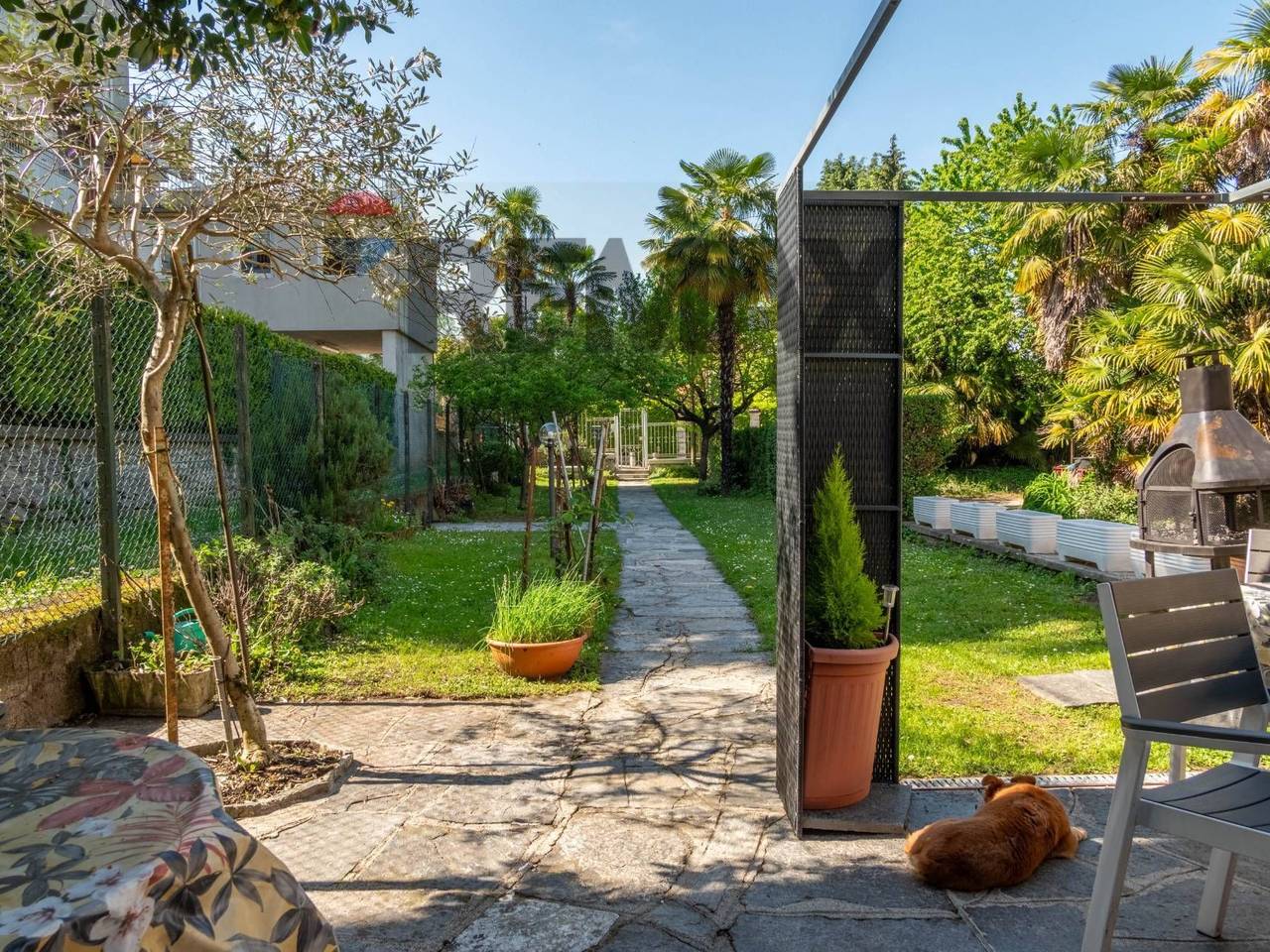 immagine annuncio 9 di 15