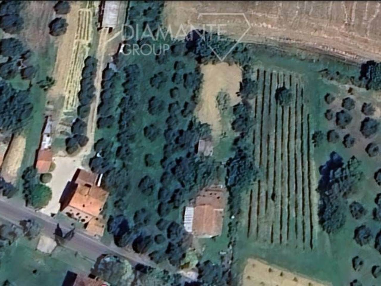 immagine annuncio 5 di 7