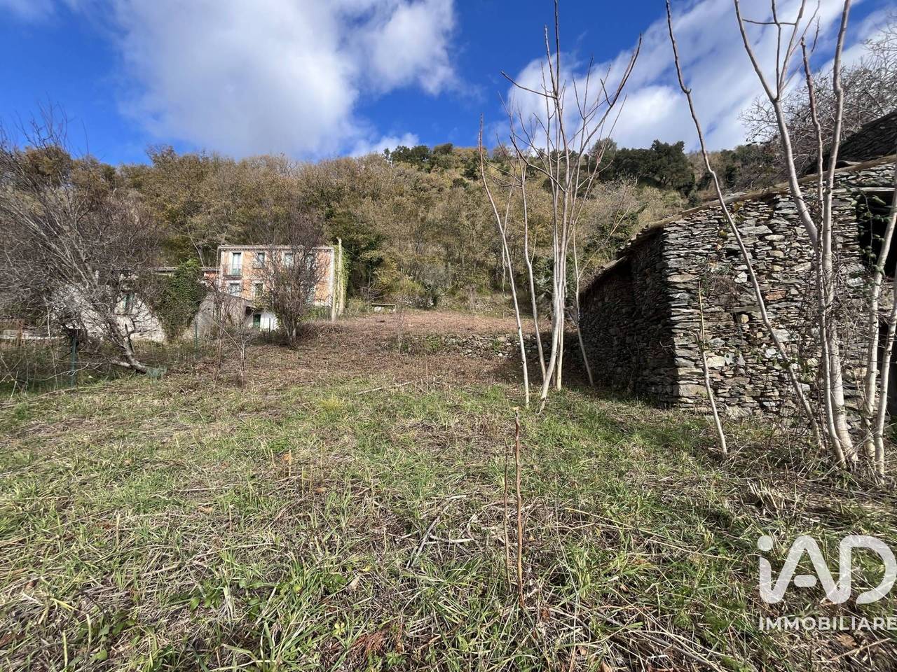 immagine annuncio 6 di 13