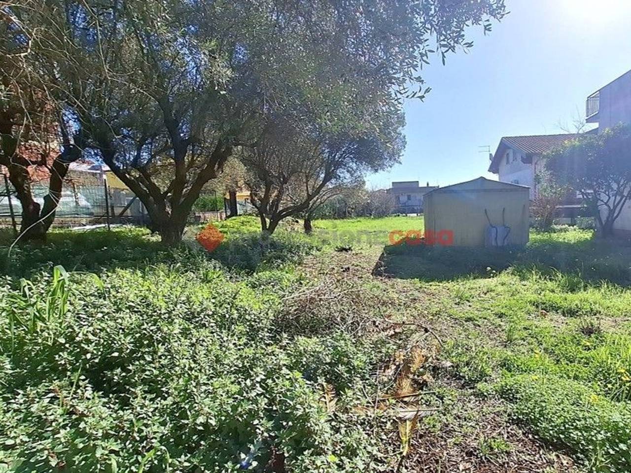 immagine annuncio 3 di 7