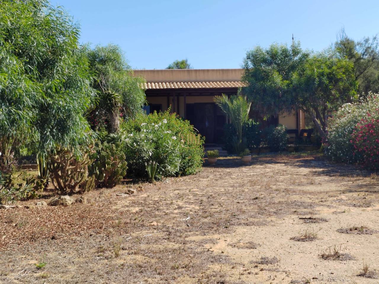 immagine annuncio 11 di 15