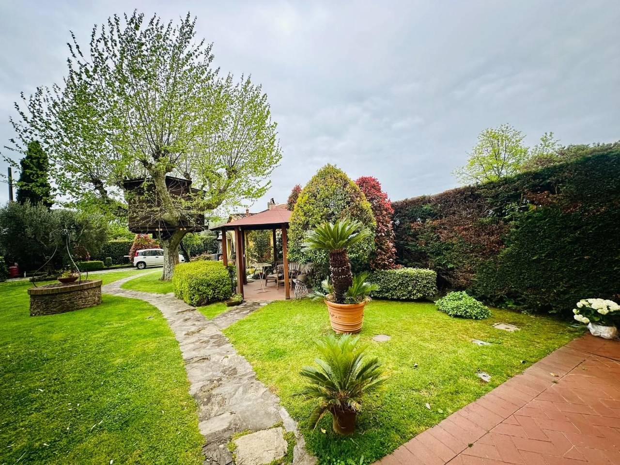 immagine annuncio 12 di 15