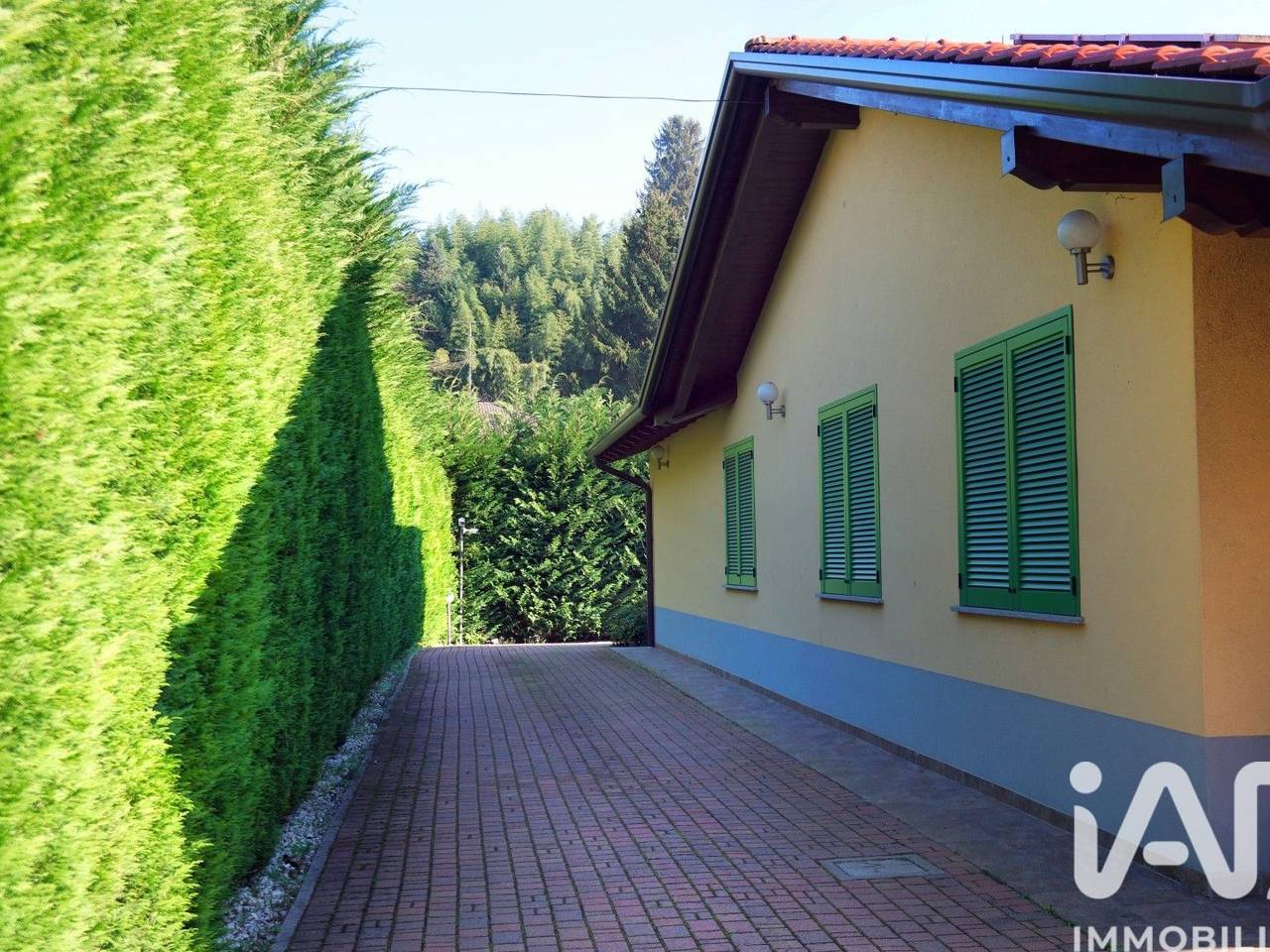 immagine annuncio 11 di 15