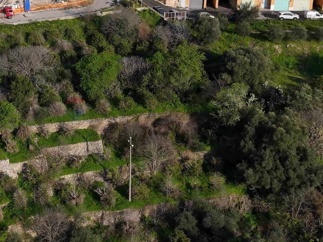 immagine annuncio 5 di 8