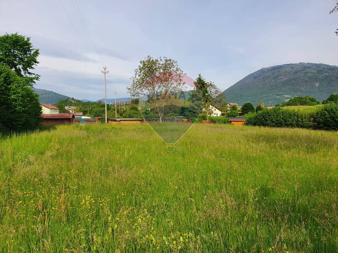 immagine annuncio 4 di 6