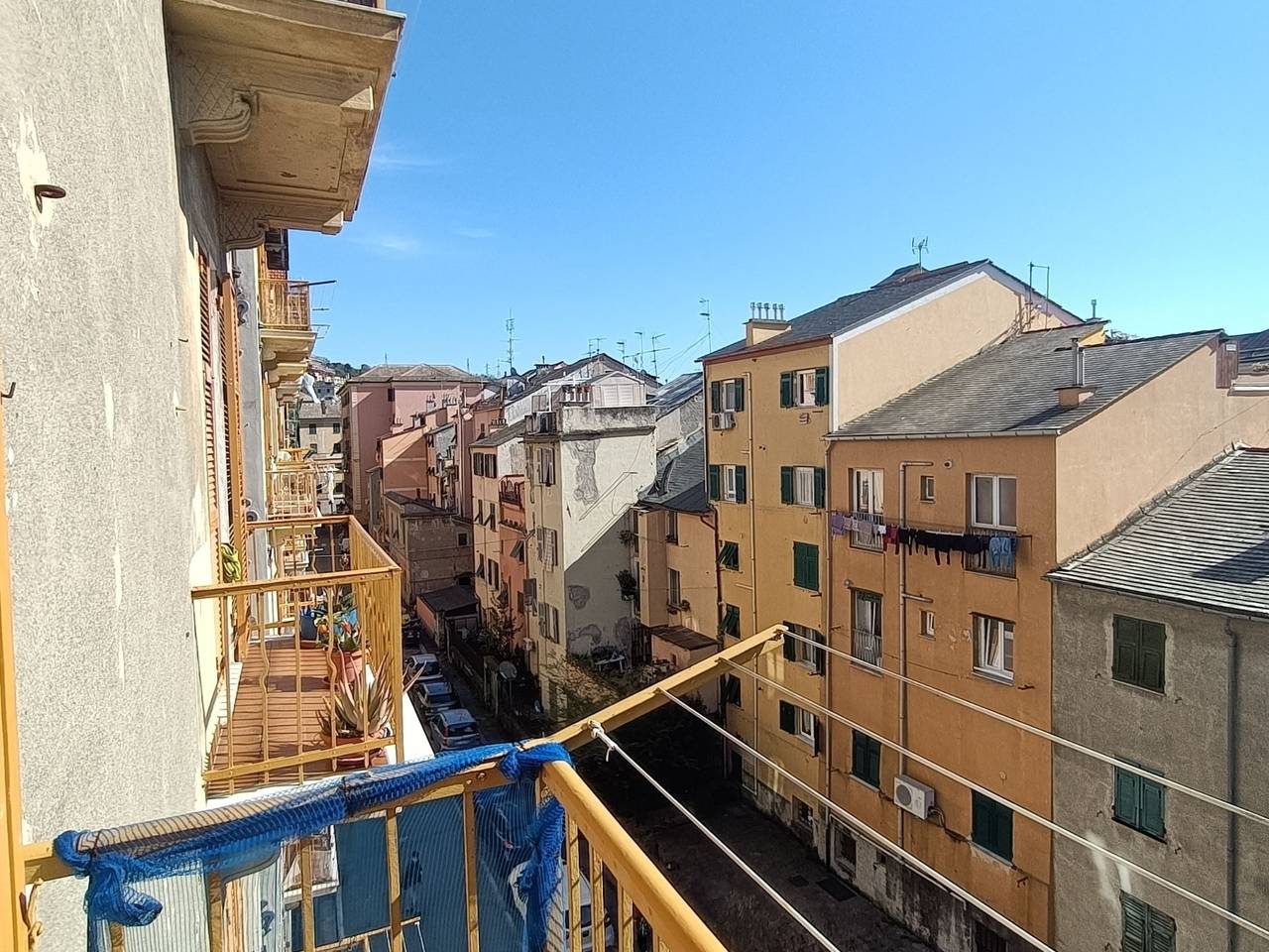 immagine annuncio 11 di 14