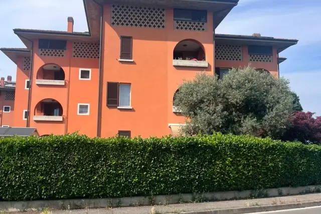 insertion image