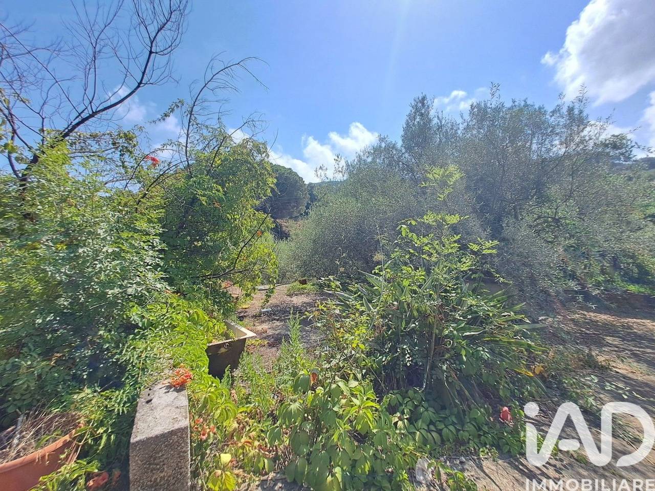 immagine annuncio 2 di 6