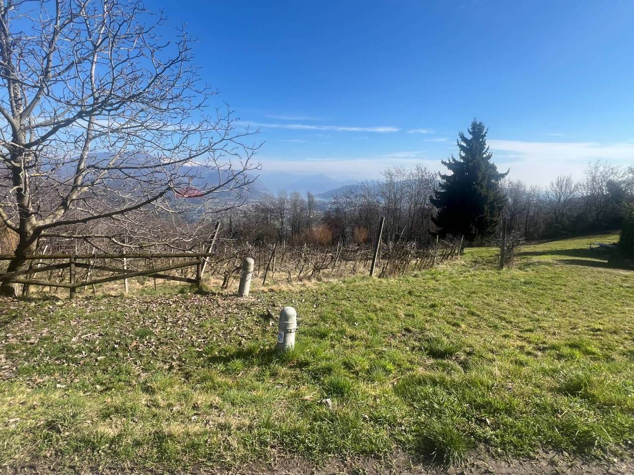 immagine annuncio 1 di 7