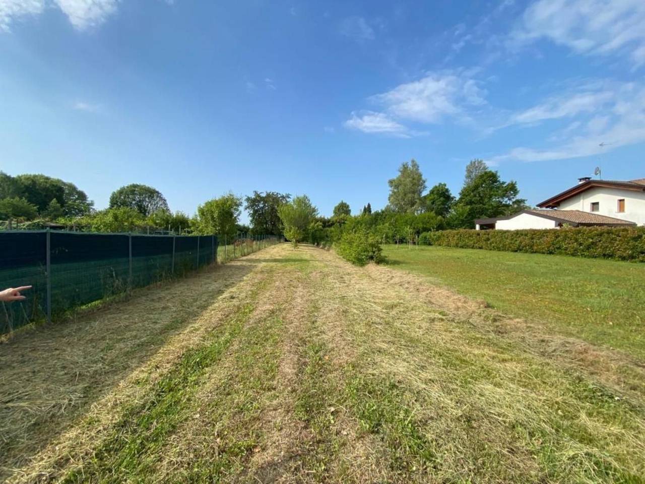 immagine annuncio 10 di 15