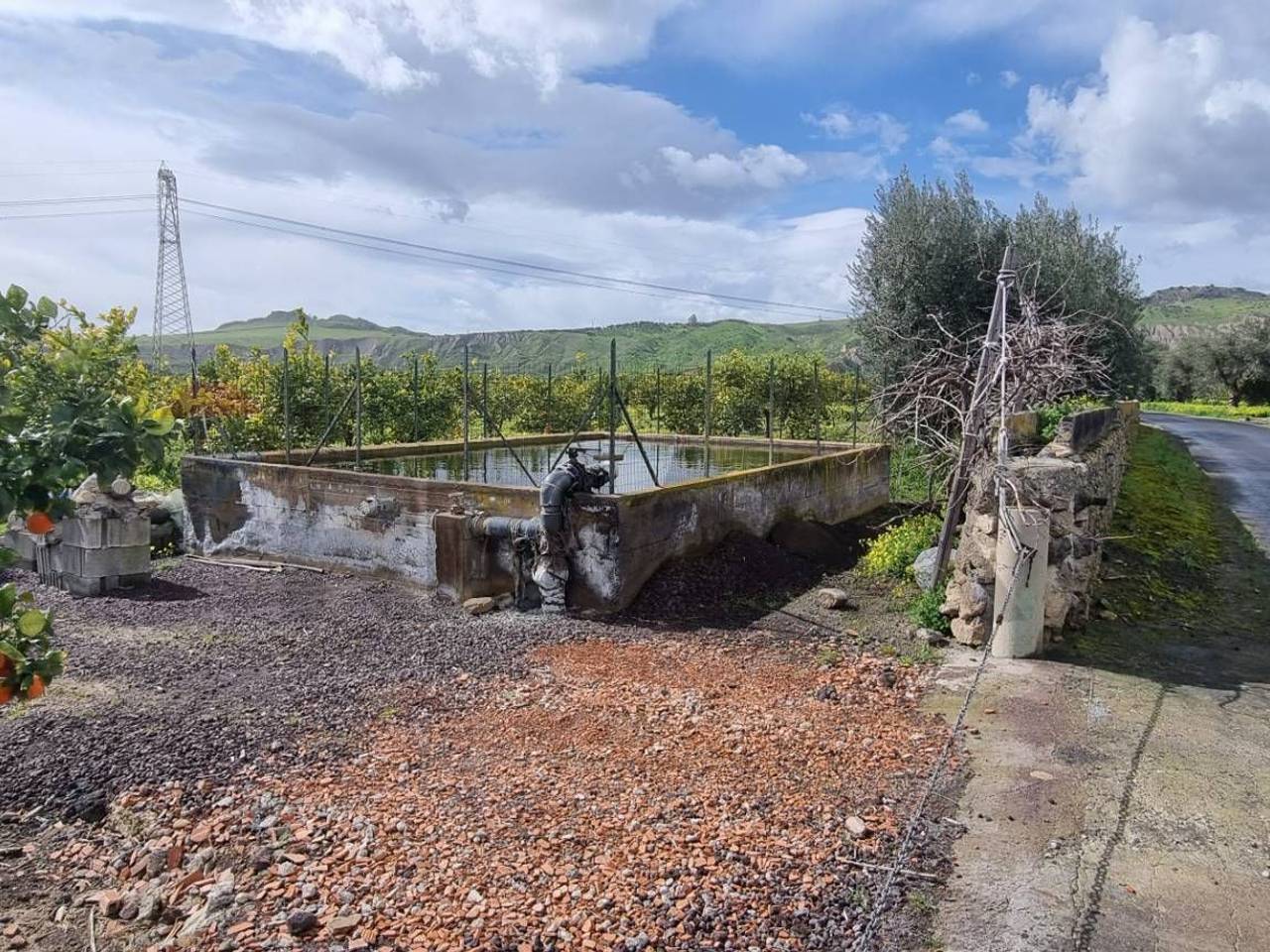 immagine annuncio 1 di 12