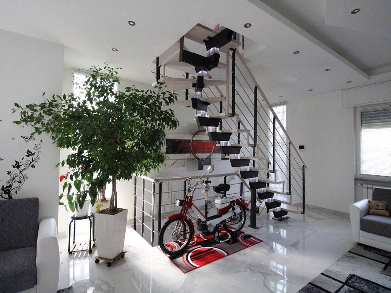 immagine annuncio 9 di 15