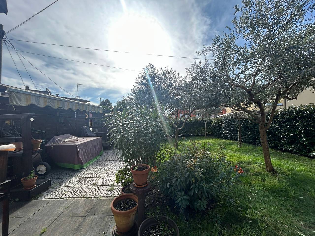immagine annuncio 5 di 15