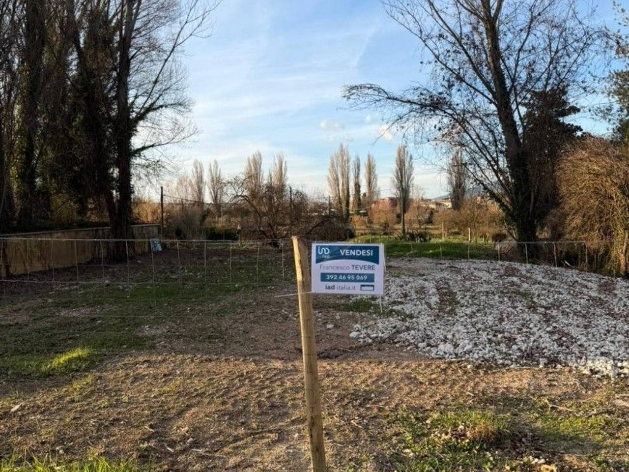 immagine annuncio 1 di 8