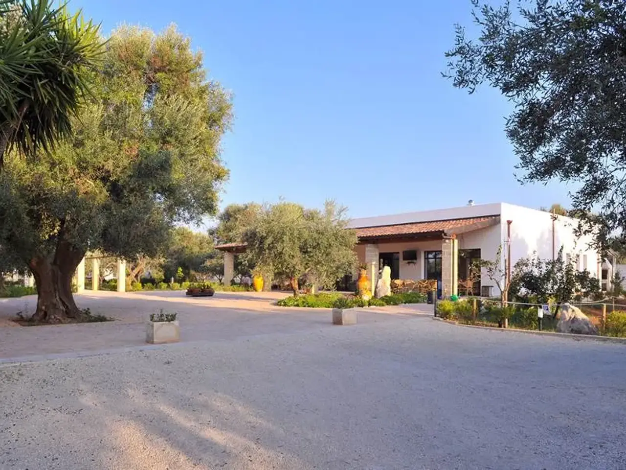 Podere - Tenuta in Contrada Paladini - Strada Provinciale 21 Leverano - Porto Cesareo Porto Cesareo, Leverano, {3} - Foto 1