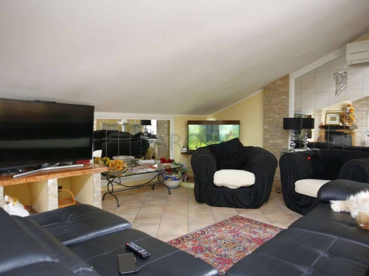 immagine annuncio 2 di 14