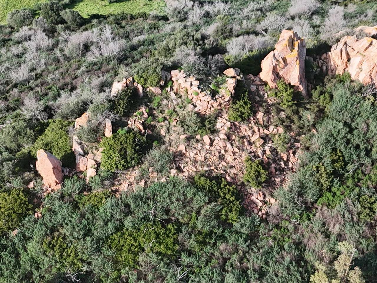 immagine annuncio 8 di 11