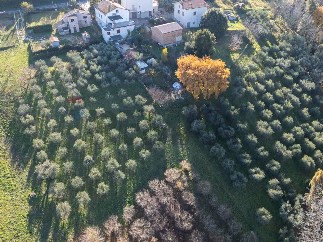 immagine annuncio 5 di 8