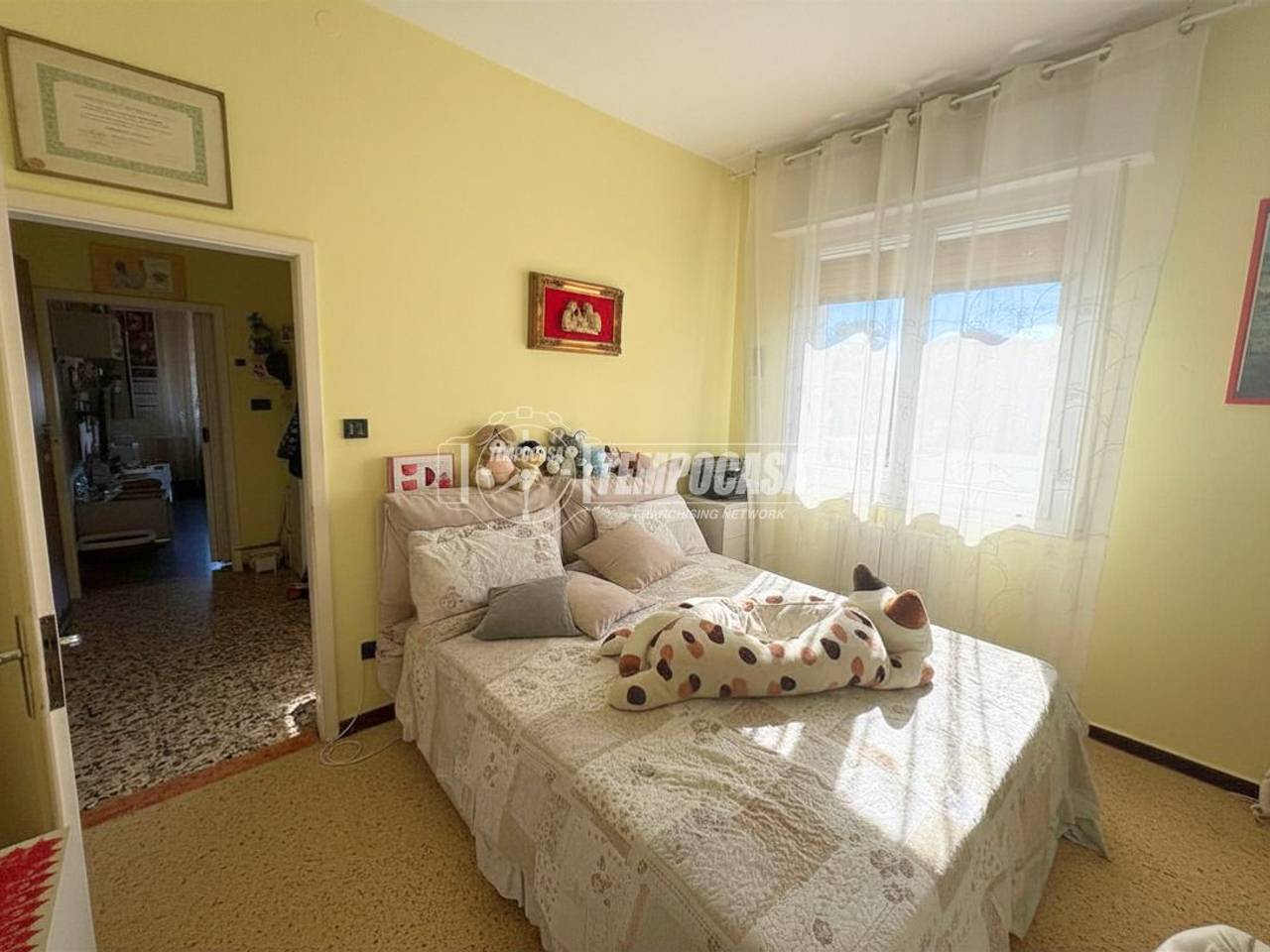immagine annuncio 7 di 14