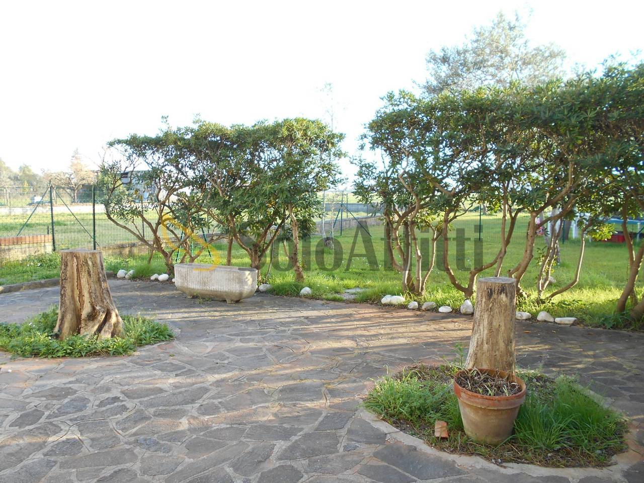 immagine annuncio 6 di 12