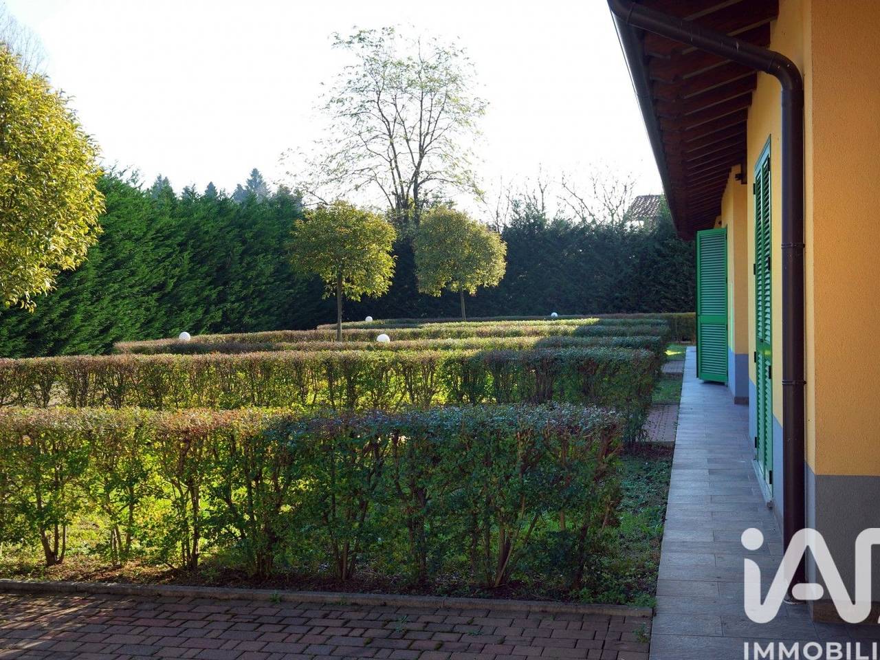 immagine annuncio 9 di 15