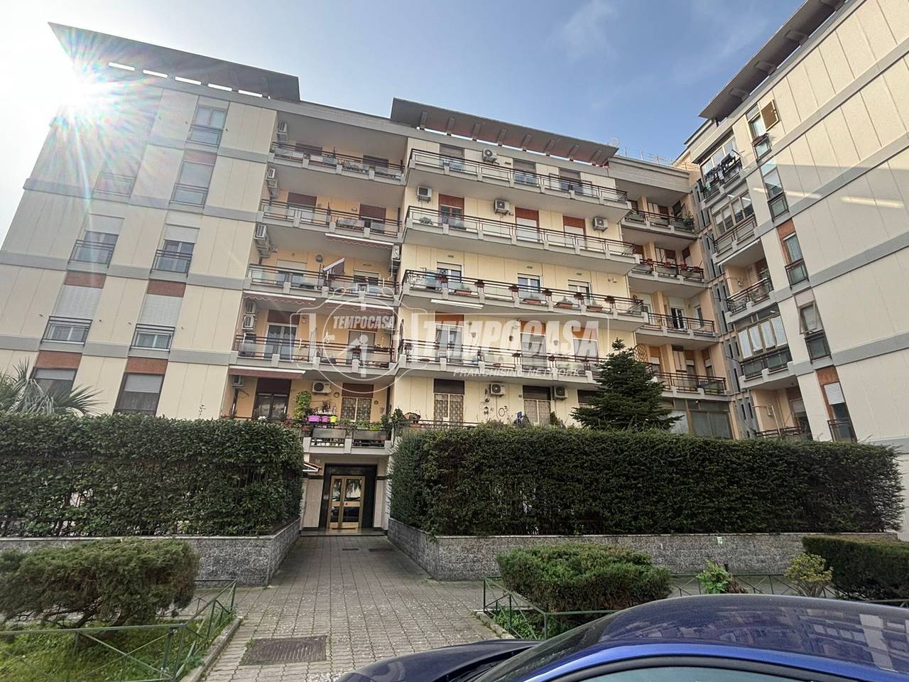 immagine annuncio 7 di 13