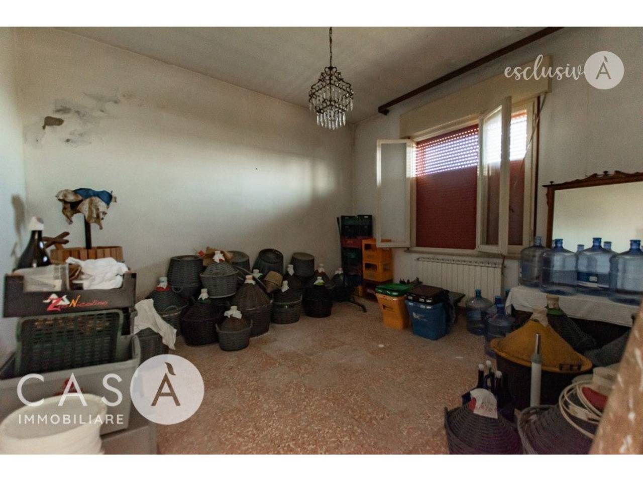 immagine annuncio 9 di 14