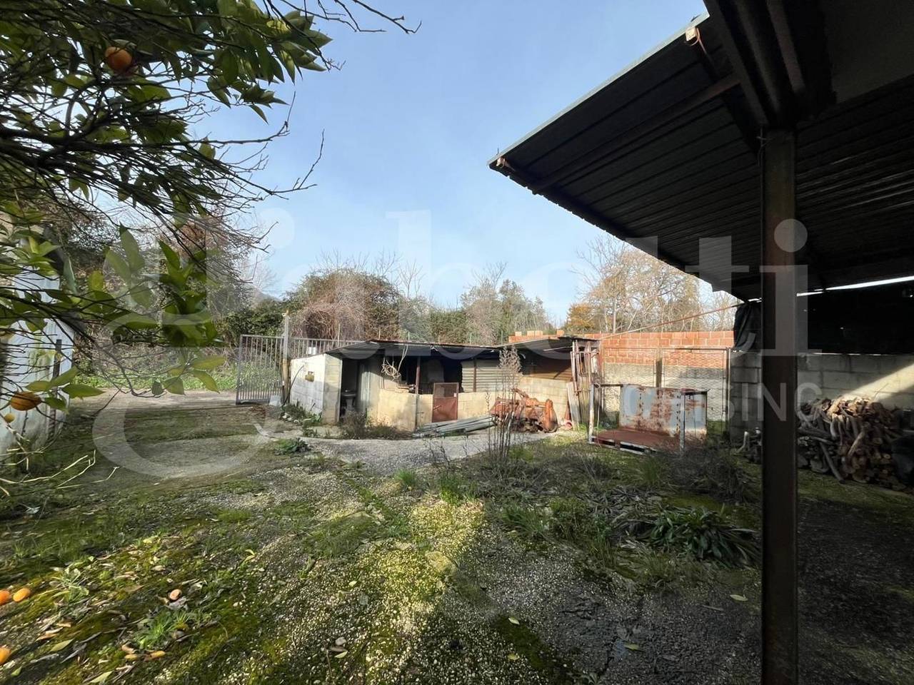 immagine annuncio 12 di 15