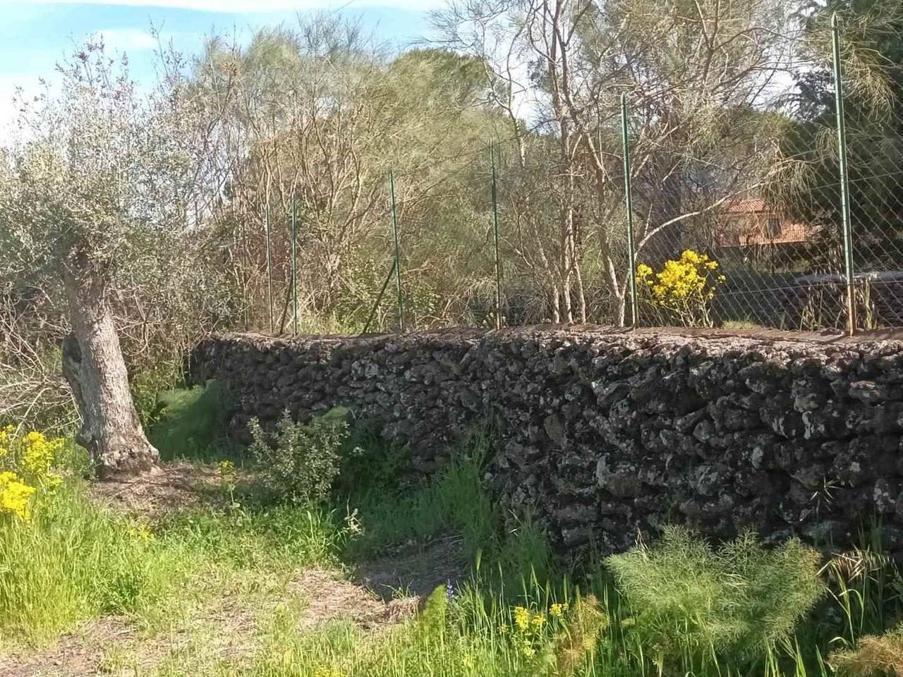 immagine annuncio 5 di 13