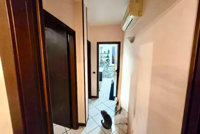 insertion image