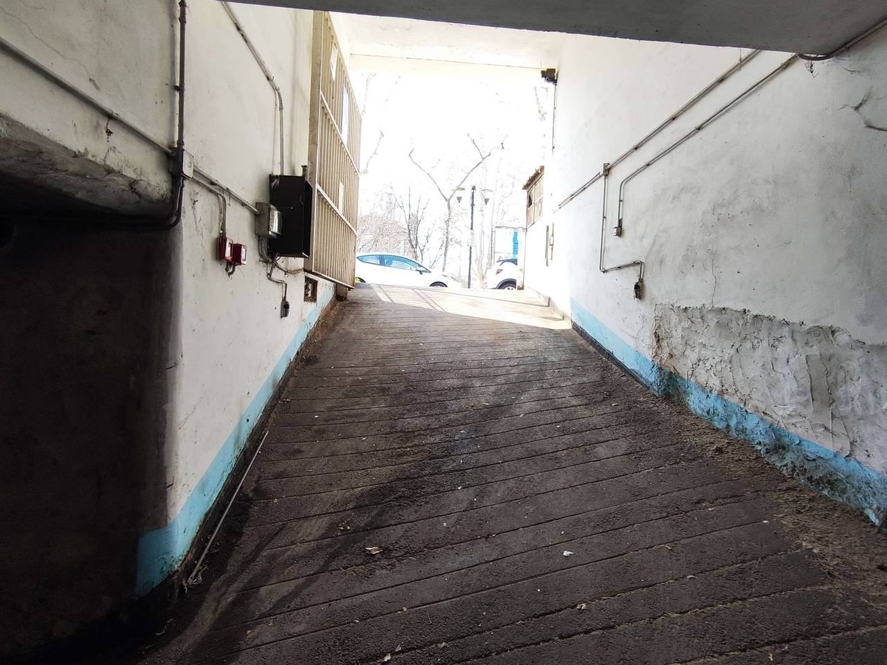 immagine annuncio 3 di 13