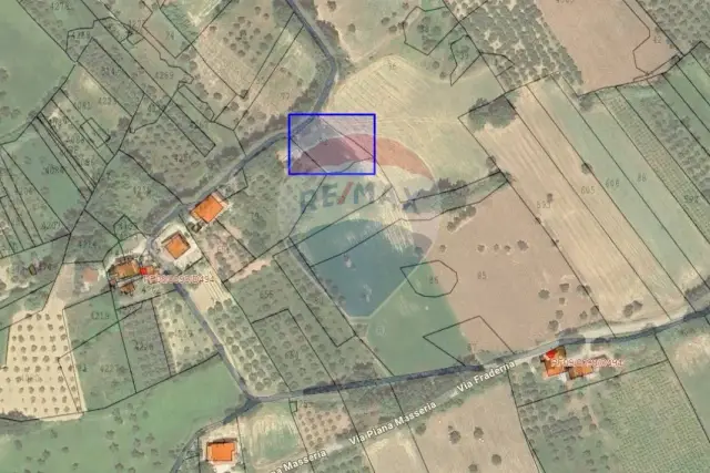 insertion image